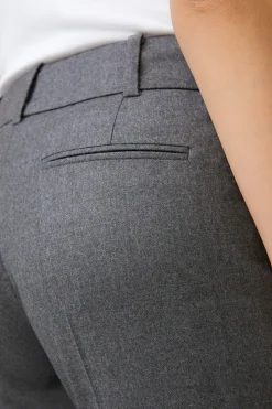 Flanell-Anzug-Hose In Grau